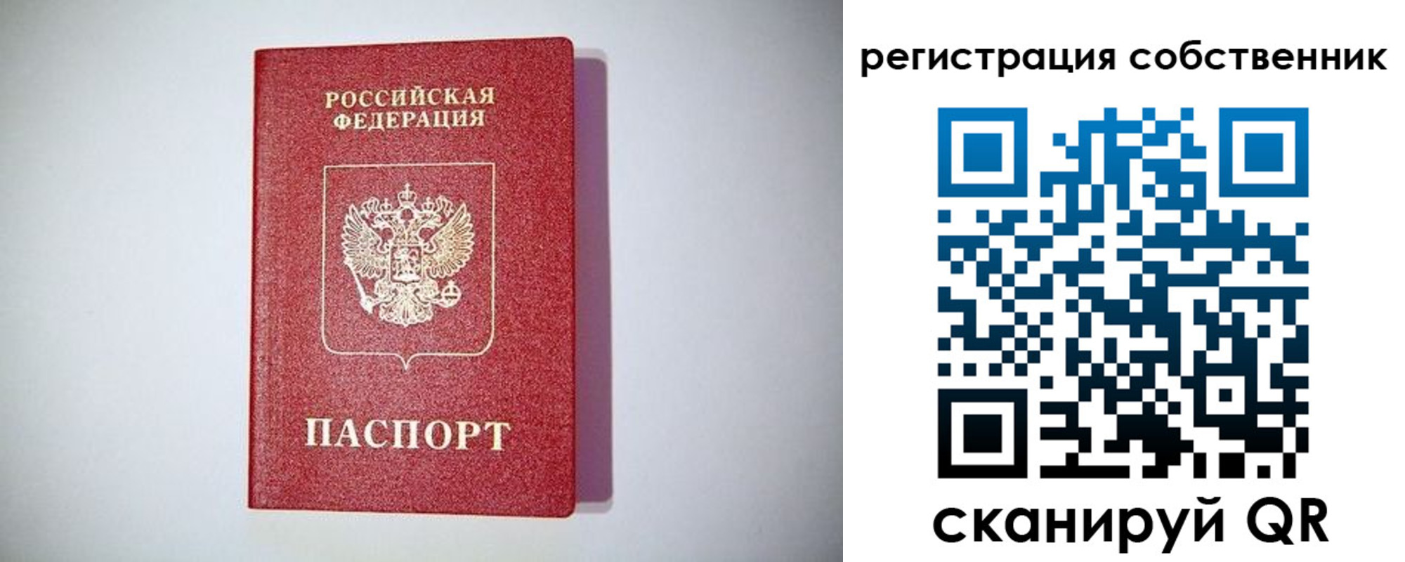 временная регистрация для школы в Дмитрове